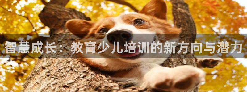 必一体育官网app