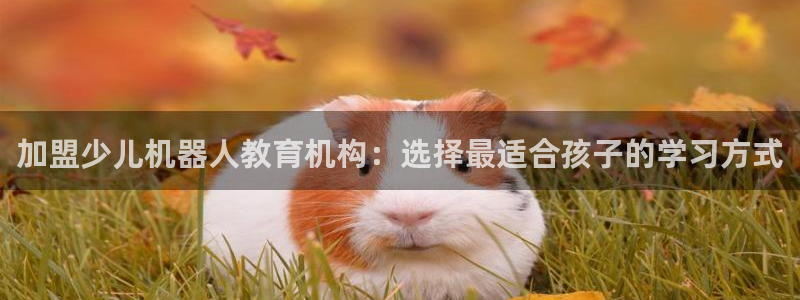 必一体育app官方
