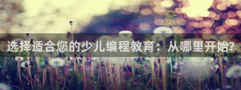 必一体育APP