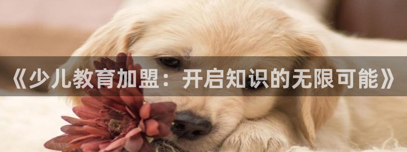 必一运动sport爱查股
