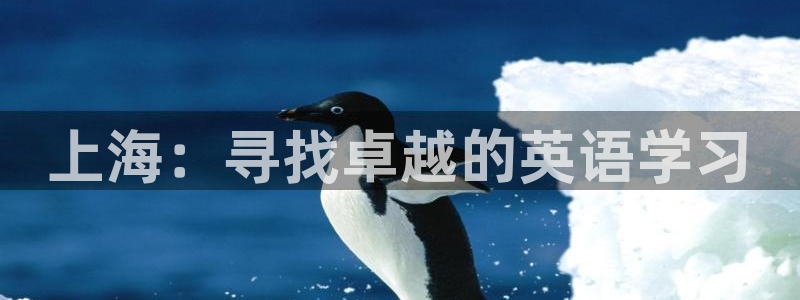 必一运动官网入口