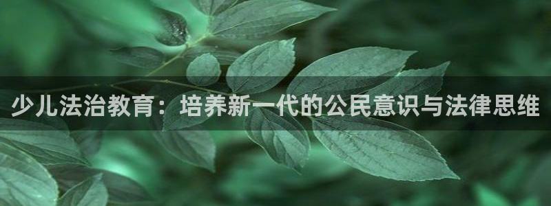 必一体育旧版